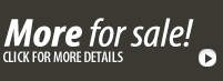 Click to view more cattle for sale at Poplar Meadows Angus